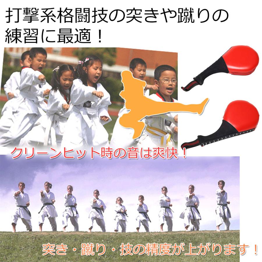 KaRaDa Style ハンドミットダブル キックミット テコンドー 空手