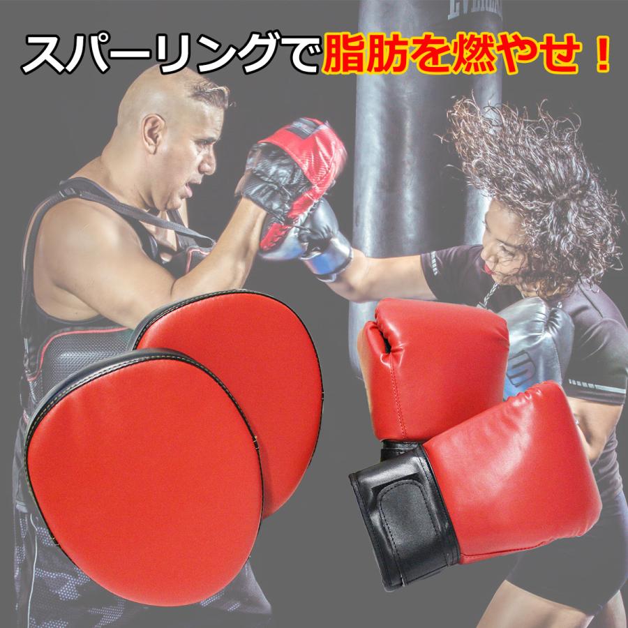 KaRaDa Style スパーリングセット ボクササイズ ボクシング