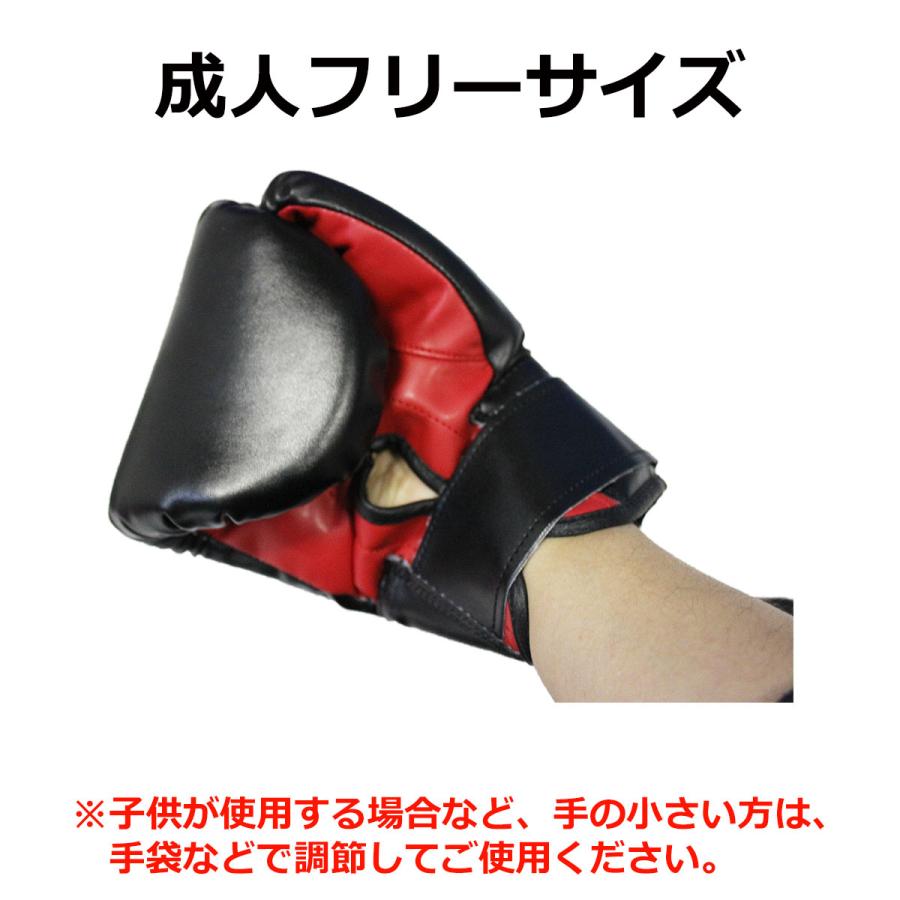 KaRaDa Style スパーリングセット ボクササイズ ボクシング KaRaDa Style スパーリングセット ボクササイズ ボクシング