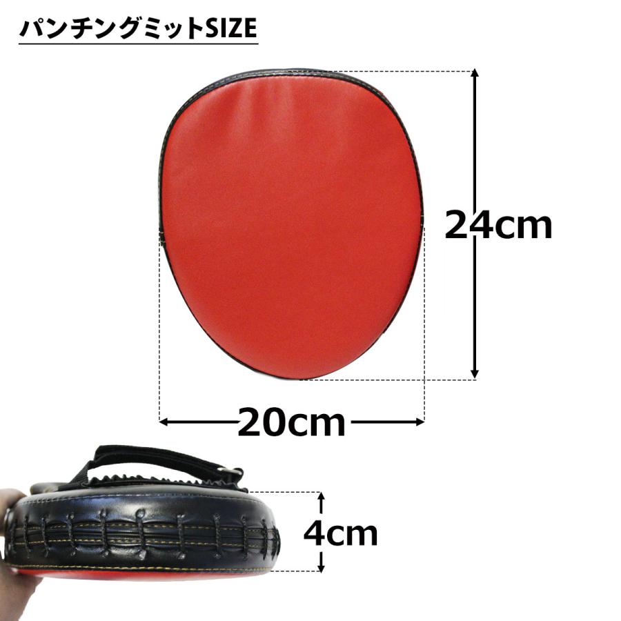 KaRaDa Style スパーリングセット ボクササイズ ボクシング