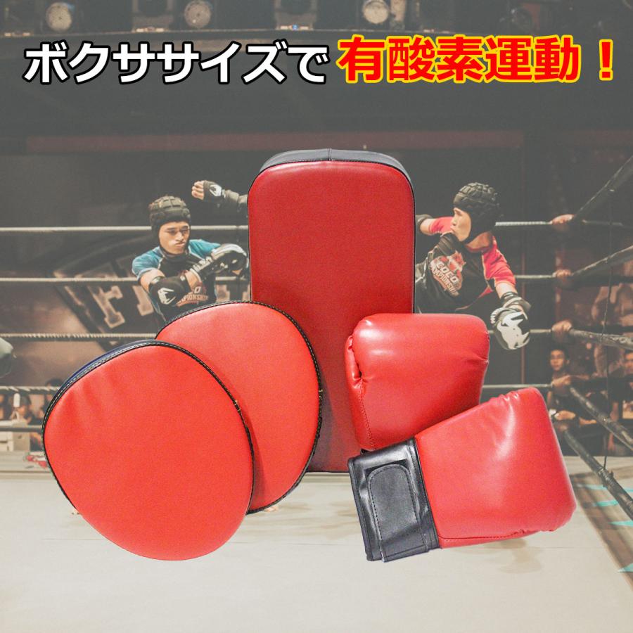 なな【美品】キックボクシング　セット KaRaDa Style ボクササイズ フルセット パンチンググローブ ミット