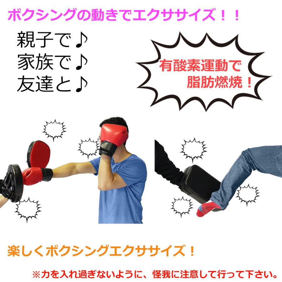 KaRaDa Style ボクササイズ フルセット パンチンググローブ ミット