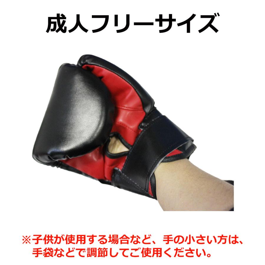KaRaDa Style ボクササイズ フルセット パンチンググローブ