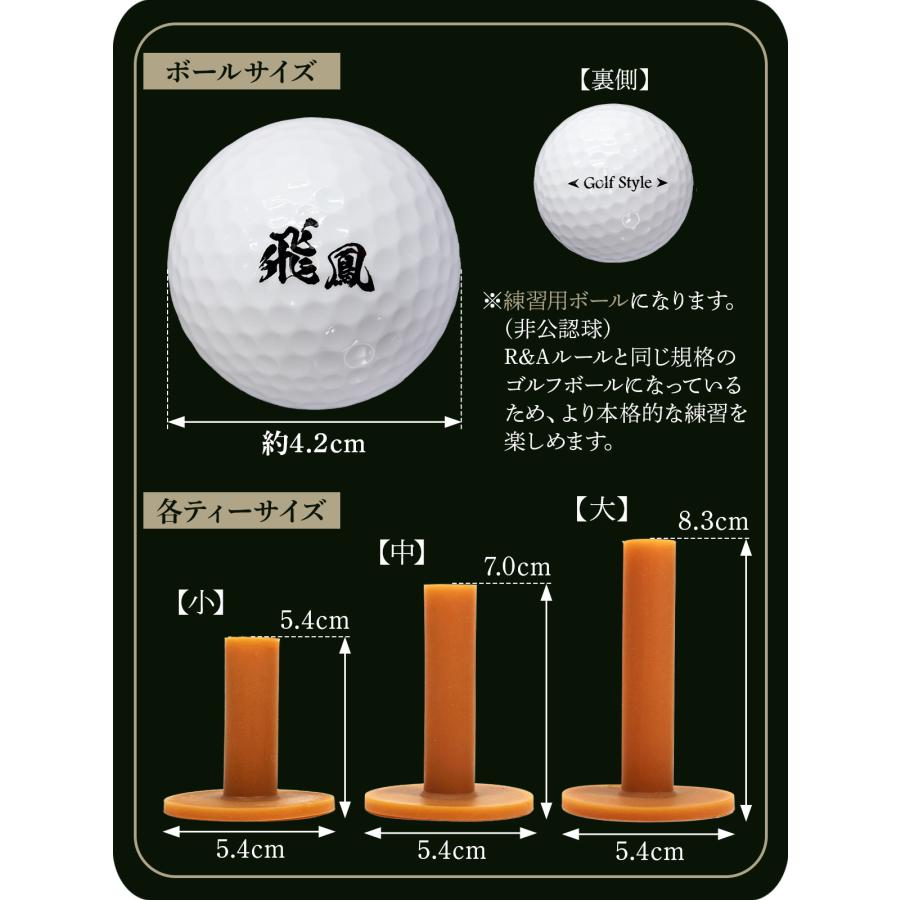 Golf Style ゴルフマット 大型 100×150cm PGAプロ監修モデル ゴルフ