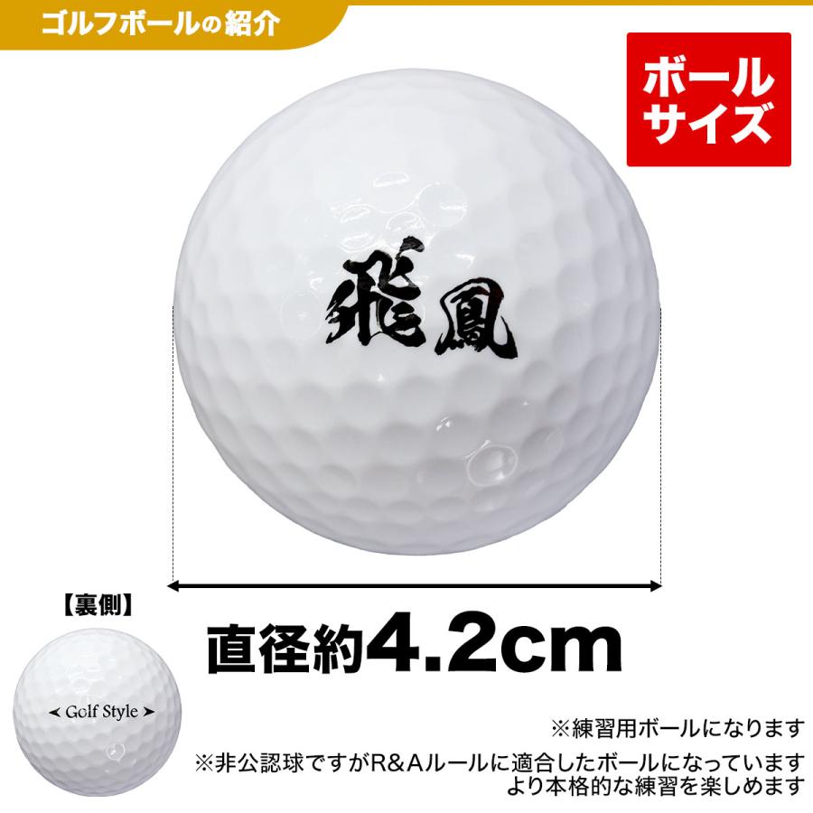 Golf Style ゴルフ ネット アプローチ 練習用 チッピングネット