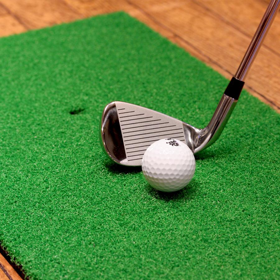 Golf Style ゴルフボール 飛鳳 初心者向け ディスタンス系 飛