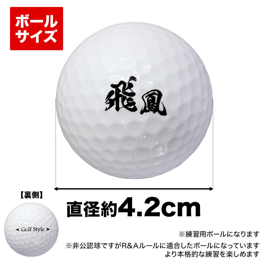 Golf Style 【父の日】 ゴルフセット ギフト プレゼント ゴルフ 練習