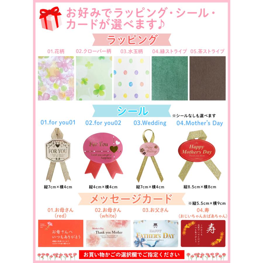 【父の日】 ゴルフセット ギフト プレゼント ゴルフ 練習 マット 34×44cm 人工芝 ターフ 確認 2WAY 素振り スイング 練習用 ボール ゴムティー｜systemstyle｜03