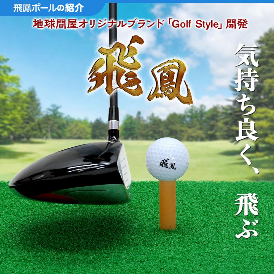Golf Style 【父の日】 ゴルフセット ギフト プレゼント 練習用 ゴルフ 