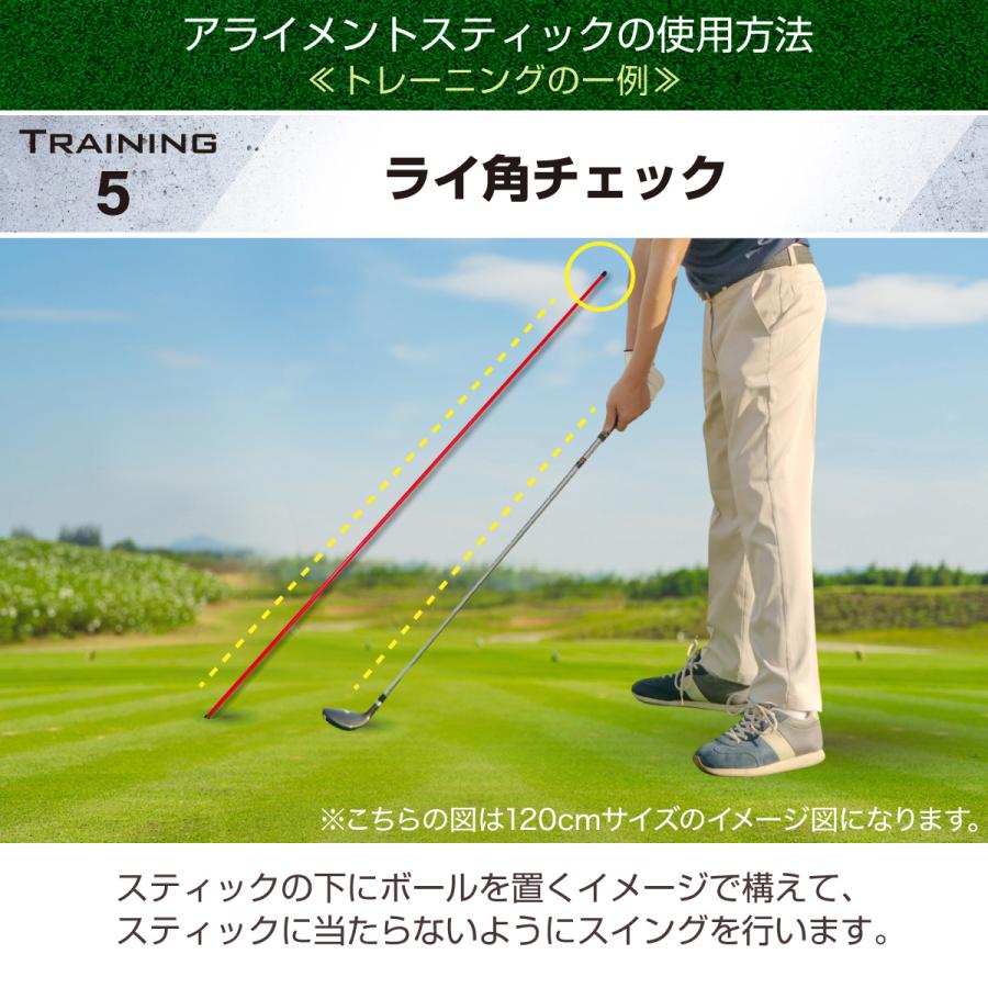 Golf Style アライメントスティック ゴルフ 練習 ゴルフ練習用品