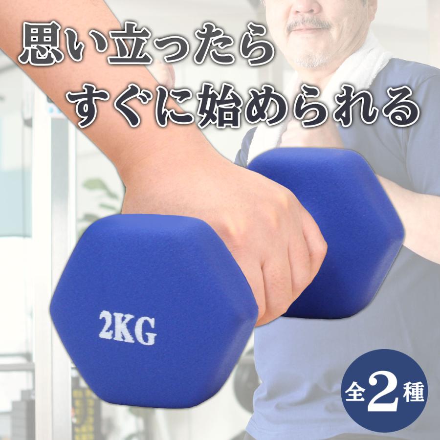 KaRaDa Style ダンベル 2kg 2個 セット カラー トレーニング 筋トレ