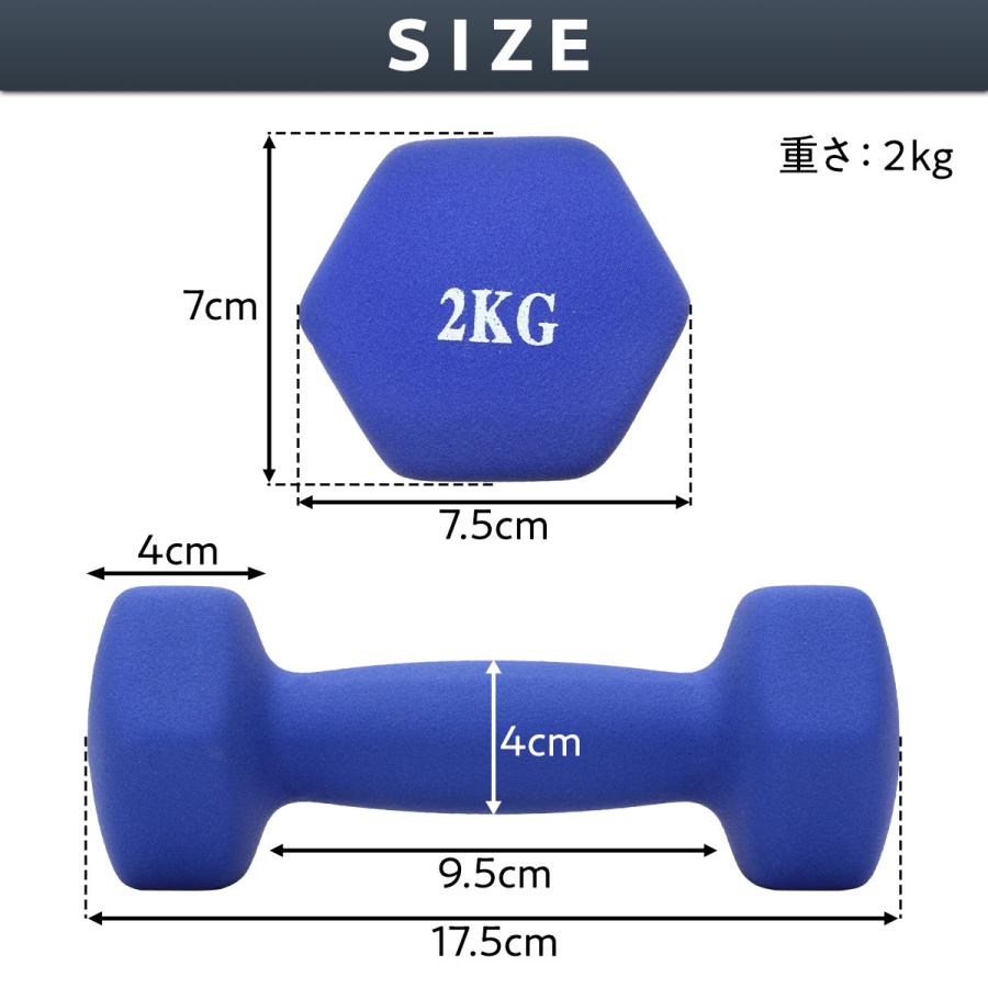 KaRaDa Style ダンベル 2kg 2個 セット カラー トレーニング 筋トレ
