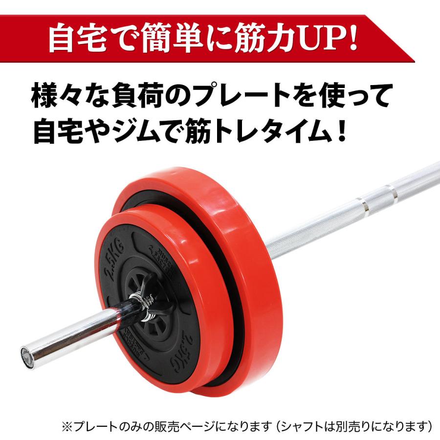 バーベル プレート 10kg 2個セット 重り 筋トレ ウエイト トレーニング ジム 器具 ベンチプレス フィットネス｜systemstyle｜03