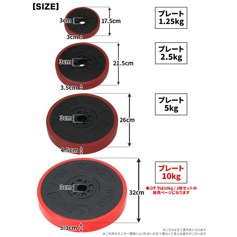 バーベル プレート 10kg 2個セット 重り 筋トレ ウエイト トレーニング ジム 器具 ベンチプレス フィットネス｜systemstyle｜09