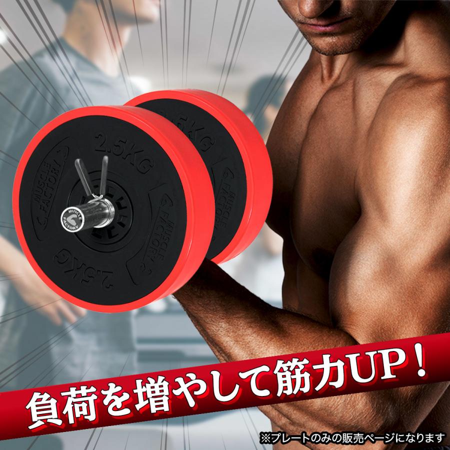 MUSCLE FACTORY バーベル プレート 2.5kg 2個セット 重り 筋トレ MUSCLE FACTORY バーベル プレート 2.5kg 2個セット 重り 筋トレ