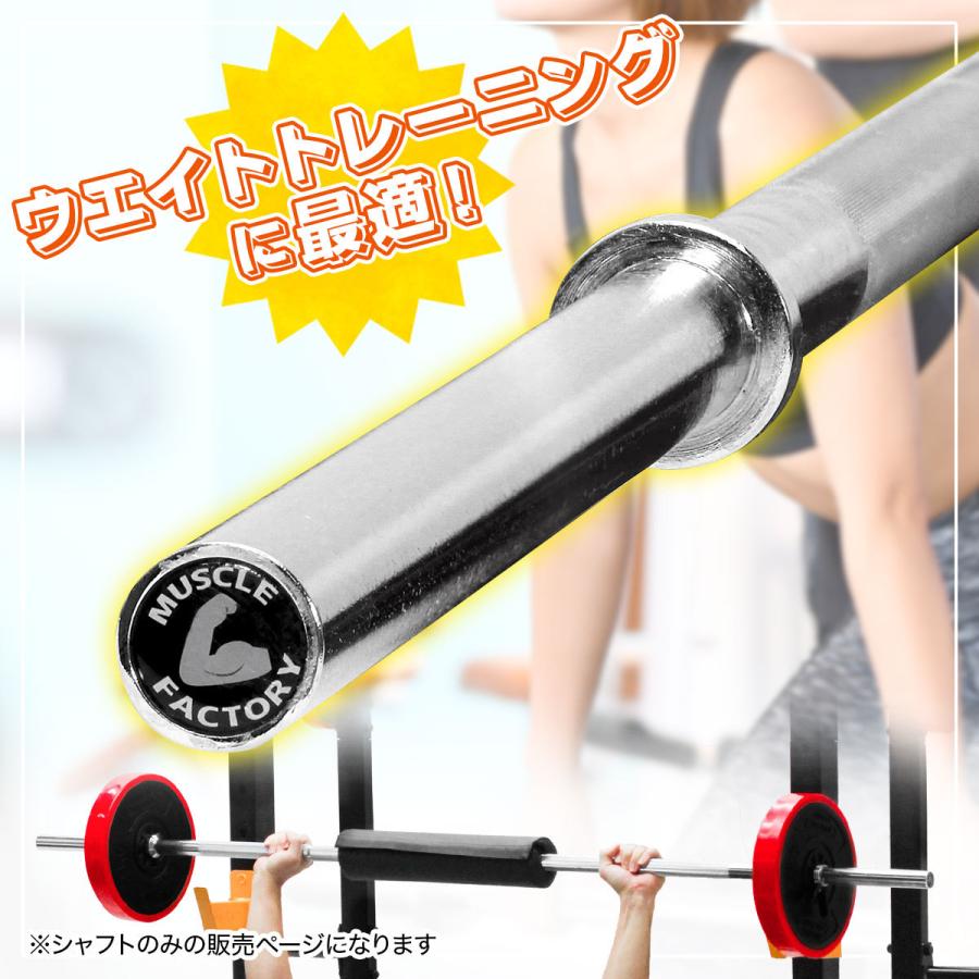 バーベルシャフト200cm(スプリングカラー2個付) BODYMAKER ボディメーカー 筋トレ 筋肉 筋力 ウエイトトレーニング カラー