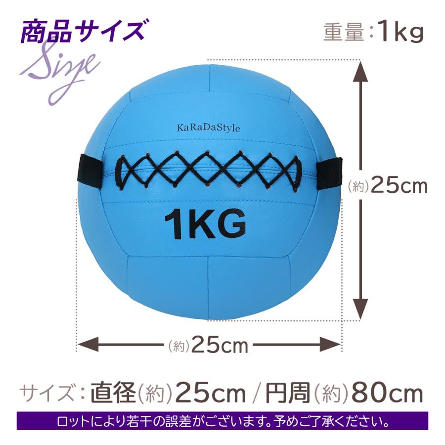 KaRaDa Style メディシンボール 1kg ソフト ウェイトボール 体幹