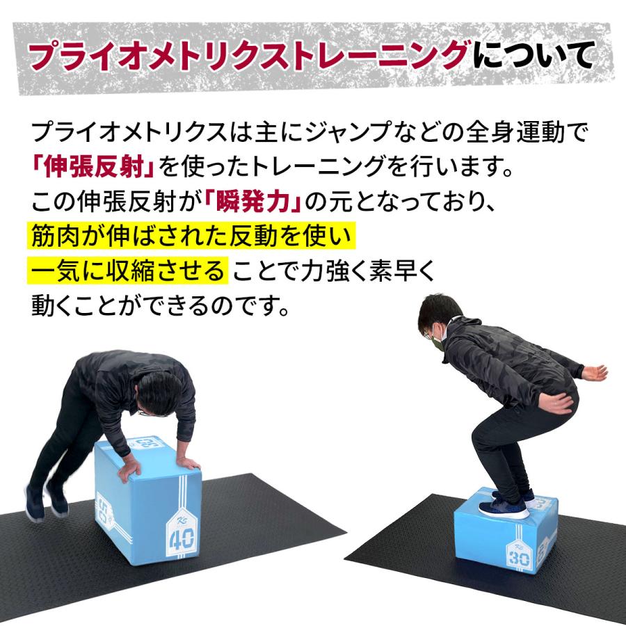 TOP FILM プライオボックス　30cm 2個セット　ジョイント可 TOP FILM プライオボックス 30cm 2個セット ジョイント可