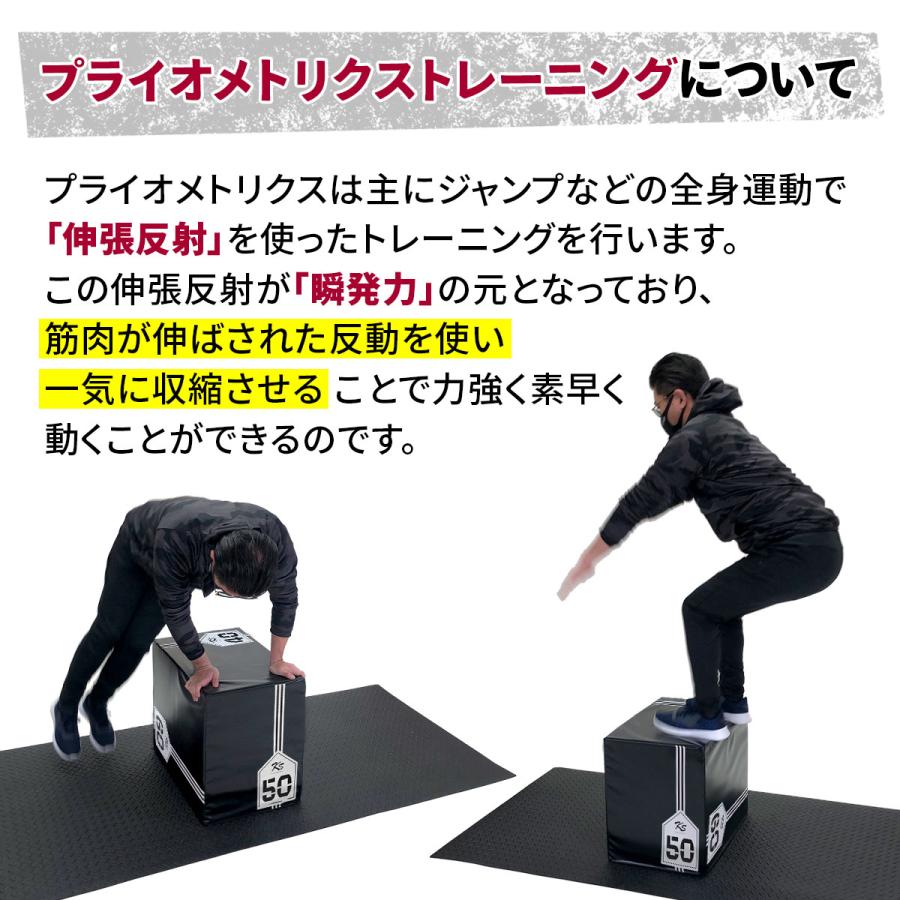 KaRaDa Style プライオボックス ソフト 40×50×60cm プライオ KaRaDa Style プライオボックス ソフト 40×50×60cm プライオ