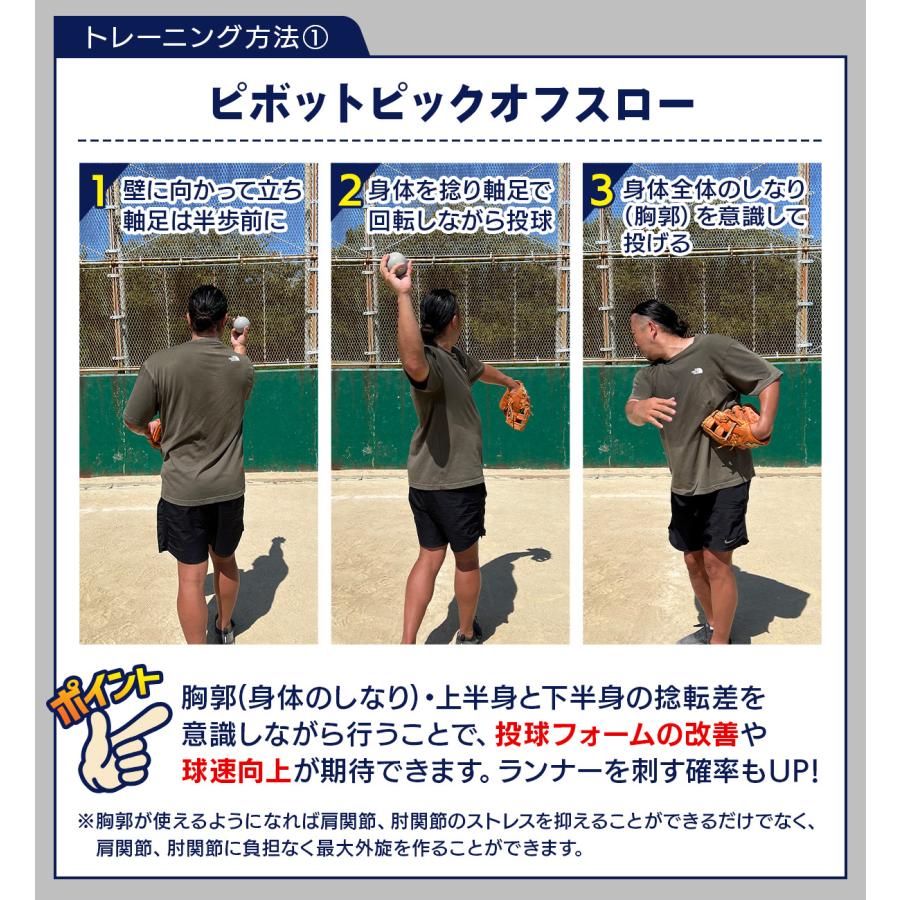 ウェイトボール(球速アップ 投球フォーム 改善) 軟式 日本語説明書・収納袋付き KaRaDa Style 野球 トレーニング ボール ウエイトボール 球速アップ
