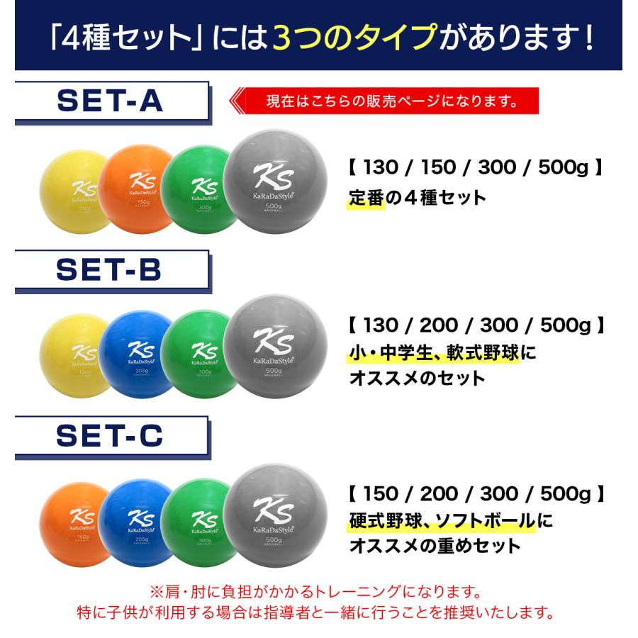硬式球　80球　ウェイトボール　バッグあり プロマーク 野球 軟式 重たいボール ウェイトボール ウェイト