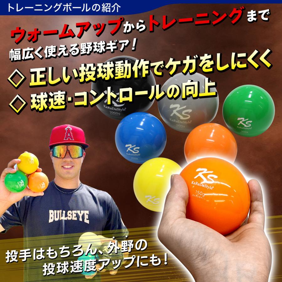 KaRaDa Style 防球ネット 野球 練習 ネット トレーニング ボール KaRaDa Style 防球ネット 野球 練習 ネット トレーニング ボール