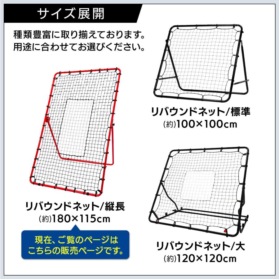 KaRaDa Style リバウンドネット 縦長 サッカー 野球