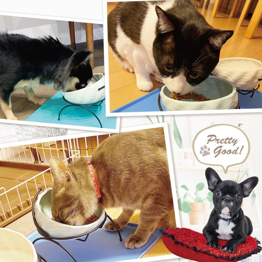 Pet Style えさ皿 猫 エサ 皿 食器 犬 餌入れ フードボウル ごはん皿