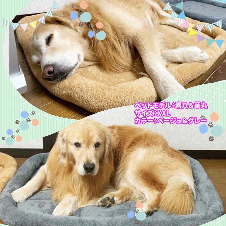 ペットベッド 犬 猫 ベッド クッション 冬 犬用 マット 洗える ネコ 小型犬 中型犬 大型犬 猫用 dog ハウス ソファベッド ふわふわ シンプルボアタイプ Mサイズ | Pet Style | 20