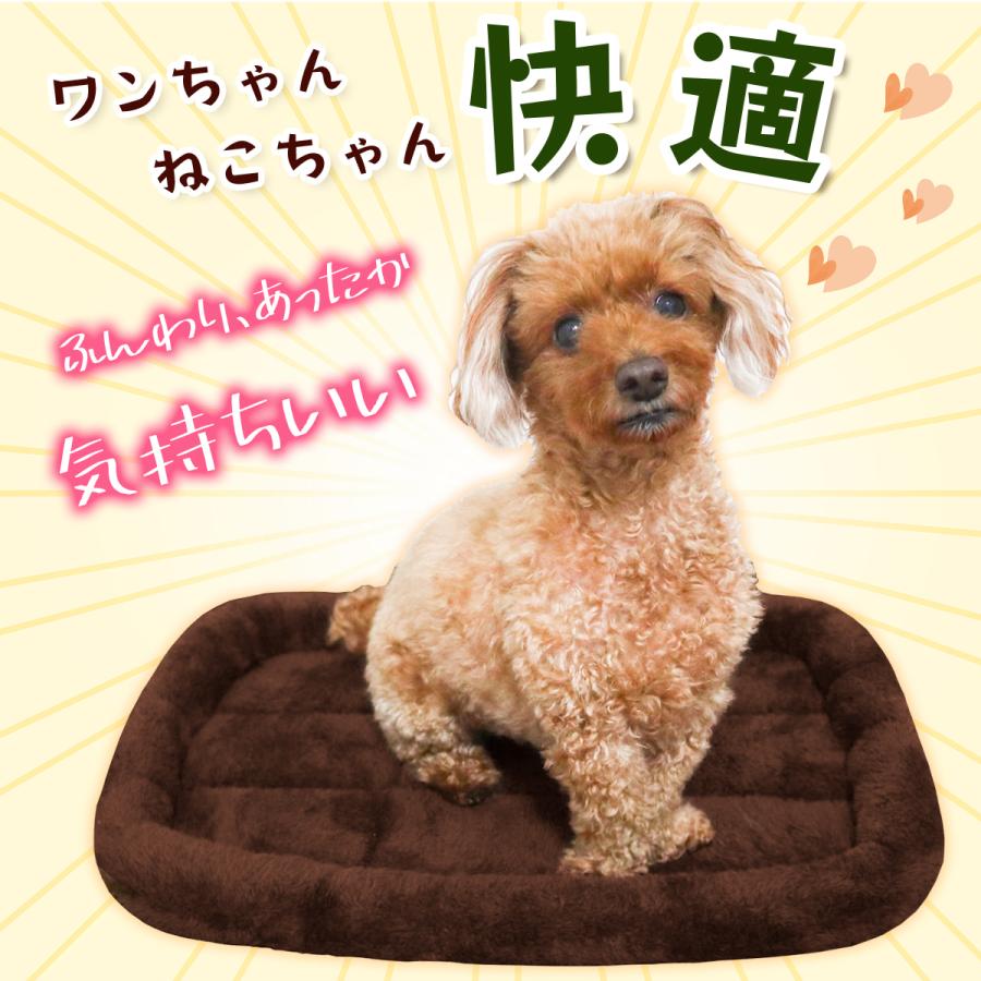 ペットベッド 犬 猫 ベッド クッション 冬 犬用 マット 洗える ネコ 小型犬 中型犬 大型犬 猫用 dog ハウス ソファベッド ふわふわ シンプルボアタイプ Mサイズ | Pet Style | 07