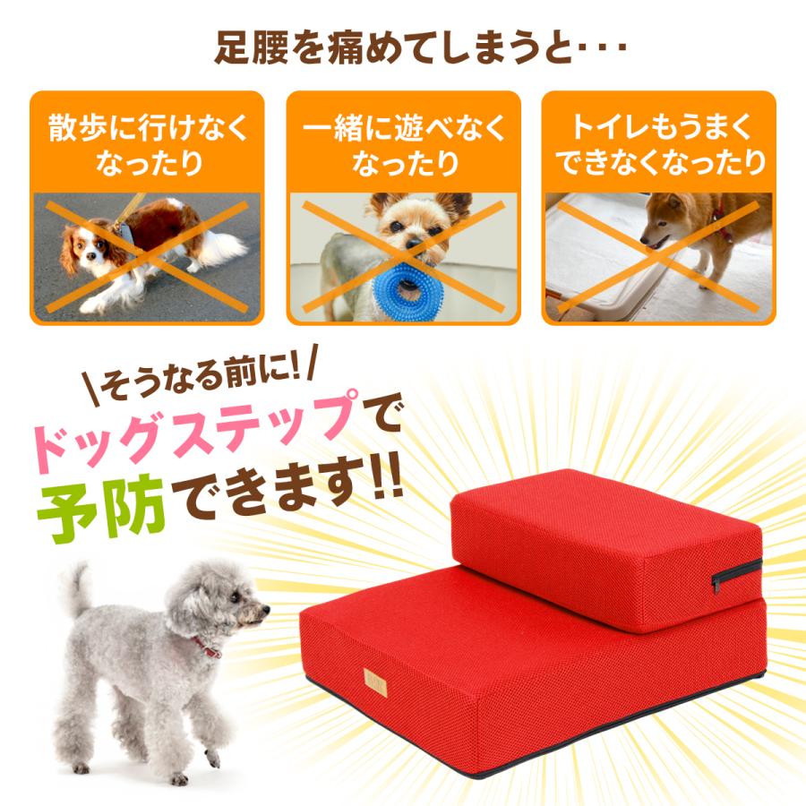 Pet Style 【ドッグトレーナー推奨】 ドッグステップ 犬 階段 ペット