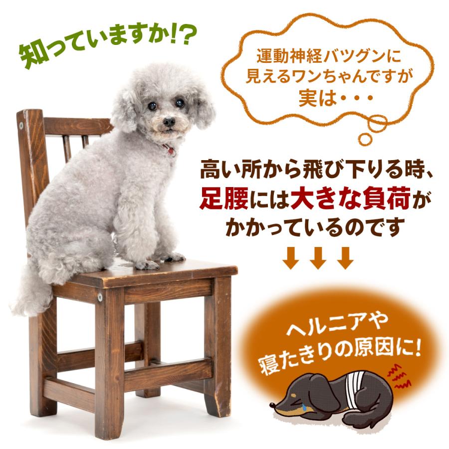 Pet Style 【ドッグトレーナー推奨】 ドッグステップ 犬 階段 ペット
