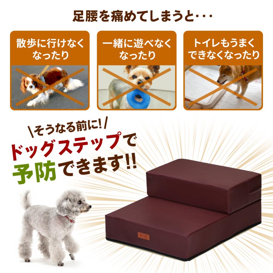 Pet Style 【ドッグトレーナー推奨】 ドッグステップ 犬 階段 ペット