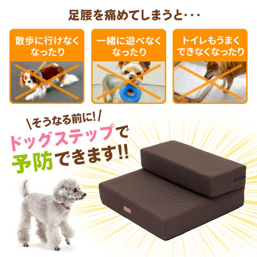 Pet Style ドッグステップ 犬 幅広 55cm 2段 階段 ペット 犬用