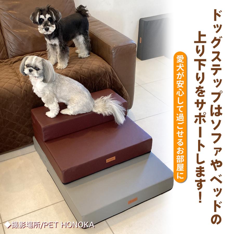 Pet Style ドッグステップ 犬 幅広 55cm 2段 階段 ペット 犬用