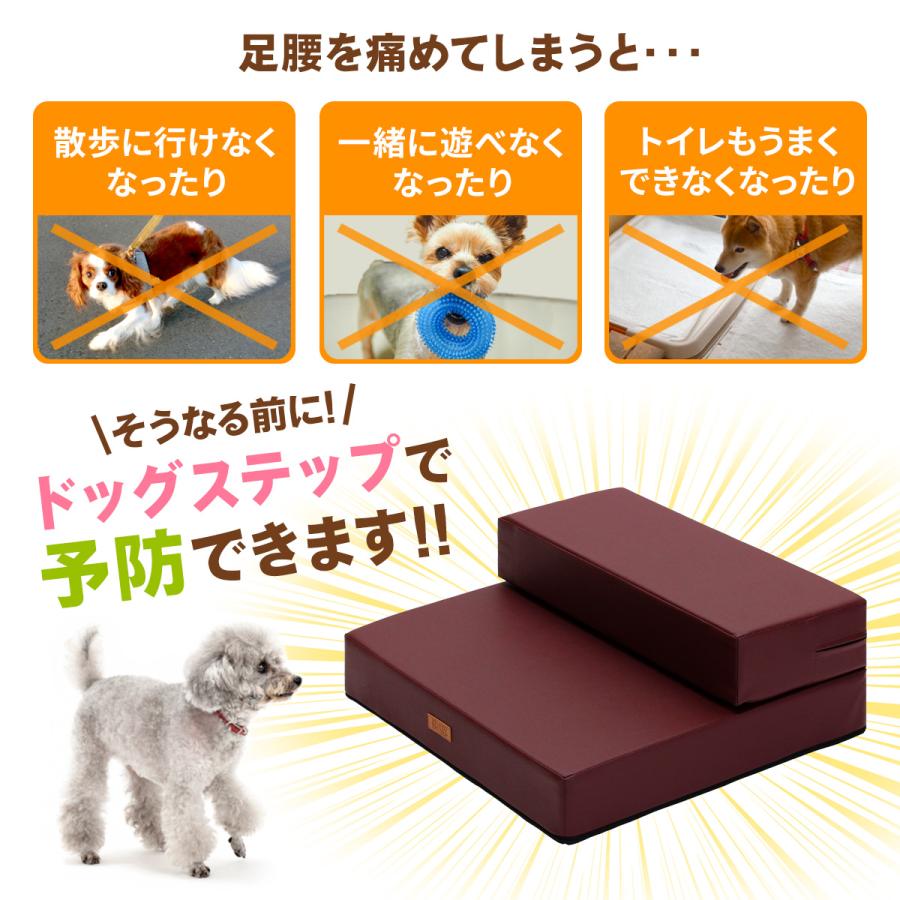Pet Style ドッグステップ 犬 幅広 55cm 2段 階段 ペット 犬用