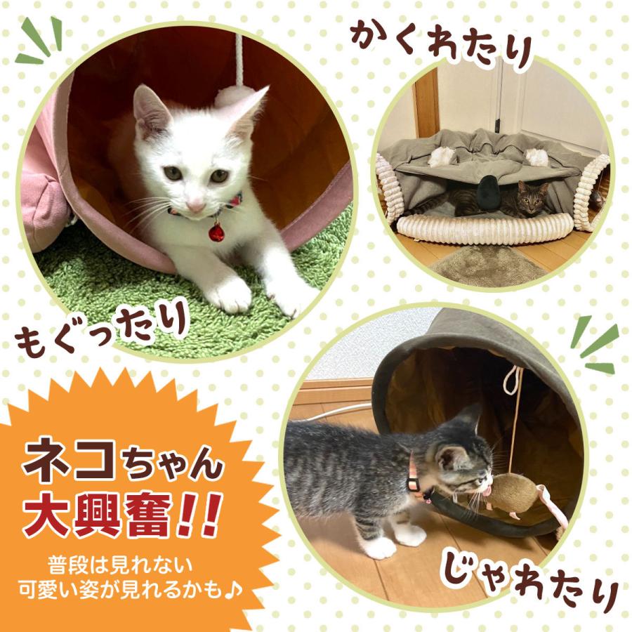 超ポイントバック祭 猫 トンネル おもちゃ ネコ ベッド ハウス 犬 うさぎ ペット ねこちぐら ねこ ペットベッド 折りたたみ キャットトンネル アニマルタイプ Shipsctc Org