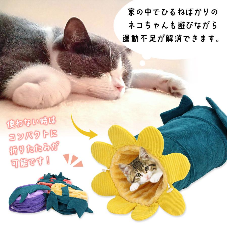 ねこ Amazon.co.jp: 猫壱 キャットプレイキューブ (ホワイト