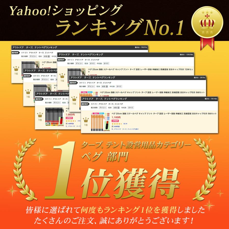 MーSTYLE ペグ 20cm 強靭 スチールペグ キャンプ テント タープ 設営