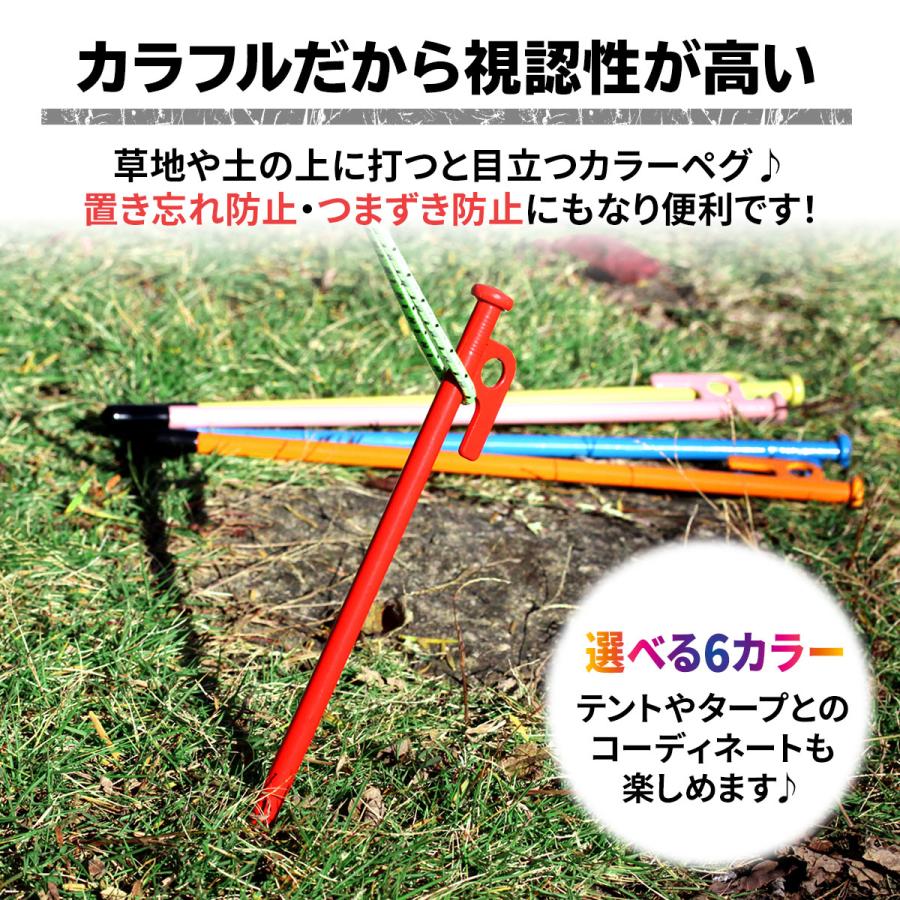 MーSTYLE（アウトドア） ペグ 20cm 24本 収納袋 セット 《選べる