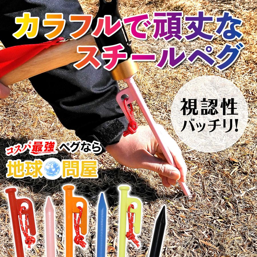 MーSTYLE(アウトドア) ペグ 25cm 16本セット 強靭 スチール MーSTYLE(アウトドア) ペグ 25cm 16本セット 強靭 スチール