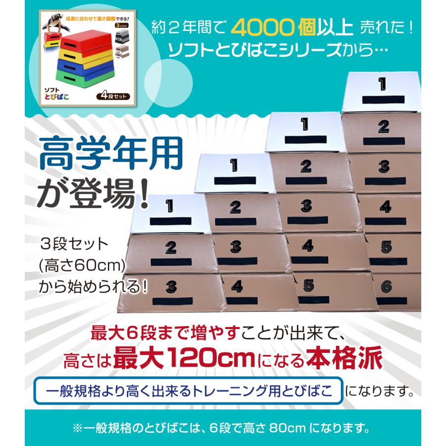跳び箱 室内 子供 高学年向け ソフト 飛び箱 とび箱 ジョイント式 小学生 指導ライン 高重量 運動 自宅 子ども 室内 家庭用 高さ100cm 5段セットの画像