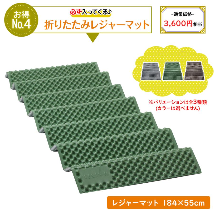 【 2025年 福袋 】お楽しみ袋 ギフト プレゼント アウトドア ペグ 強靭 スチールペグ ペグハンマー ペグケース 収納袋 ケース キャンプ テント 数量限定 | MーSTYLE（アウトドア） | 05