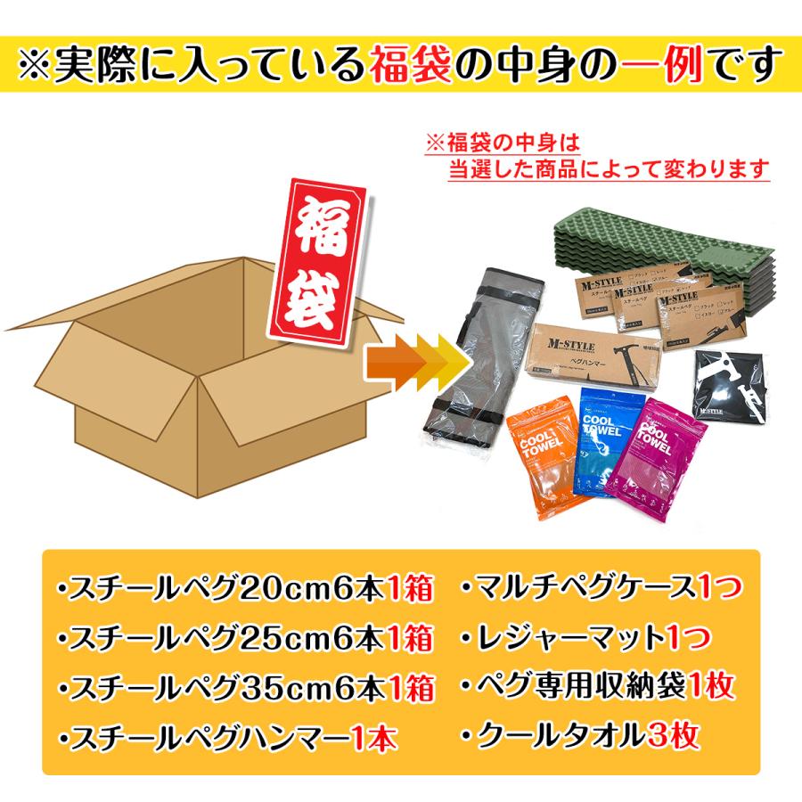 【 2025年 福袋 】お楽しみ袋 ギフト プレゼント アウトドア ペグ 強靭 スチールペグ ペグハンマー ペグケース 収納袋 ケース キャンプ テント 数量限定 | MーSTYLE（アウトドア） | 07
