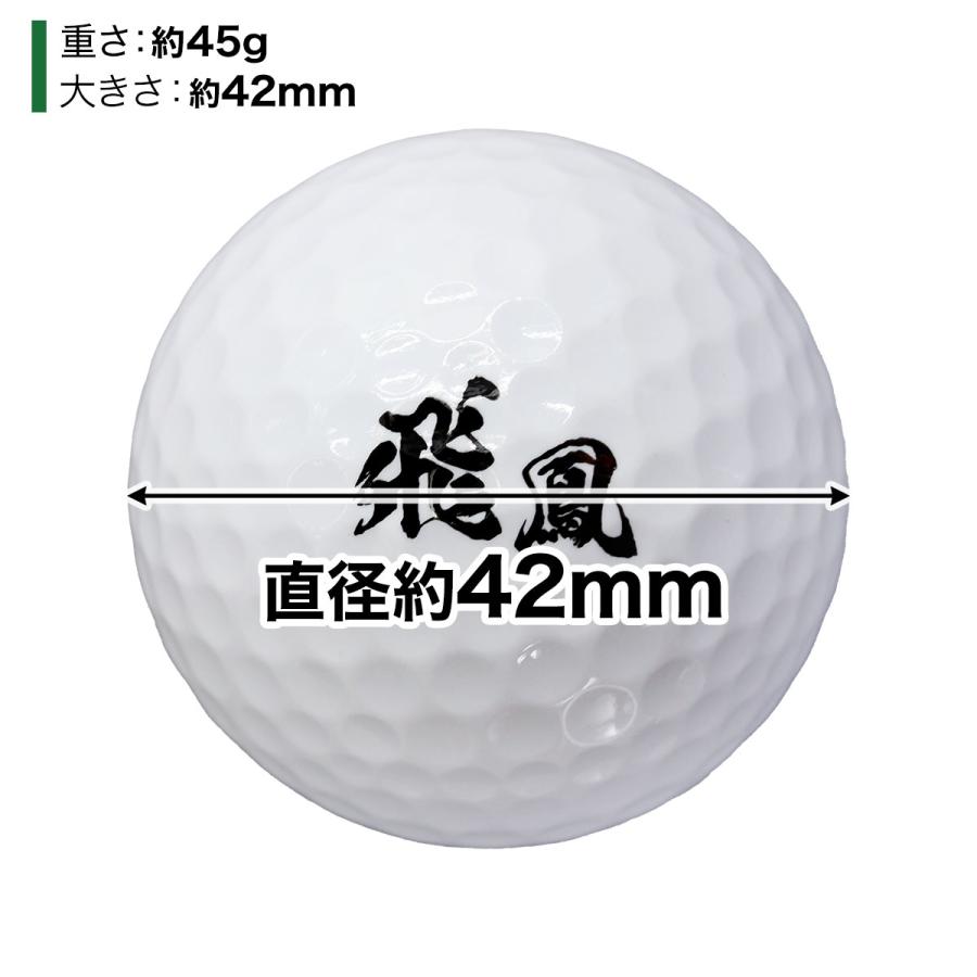 お楽しみ袋 福袋 ギフト プレゼント ゴルフ マット ゴルフマット 練習用 パター ショート パッティング ゴルフボール ミラー 鏡 カップ タオル | Golf Style | 14