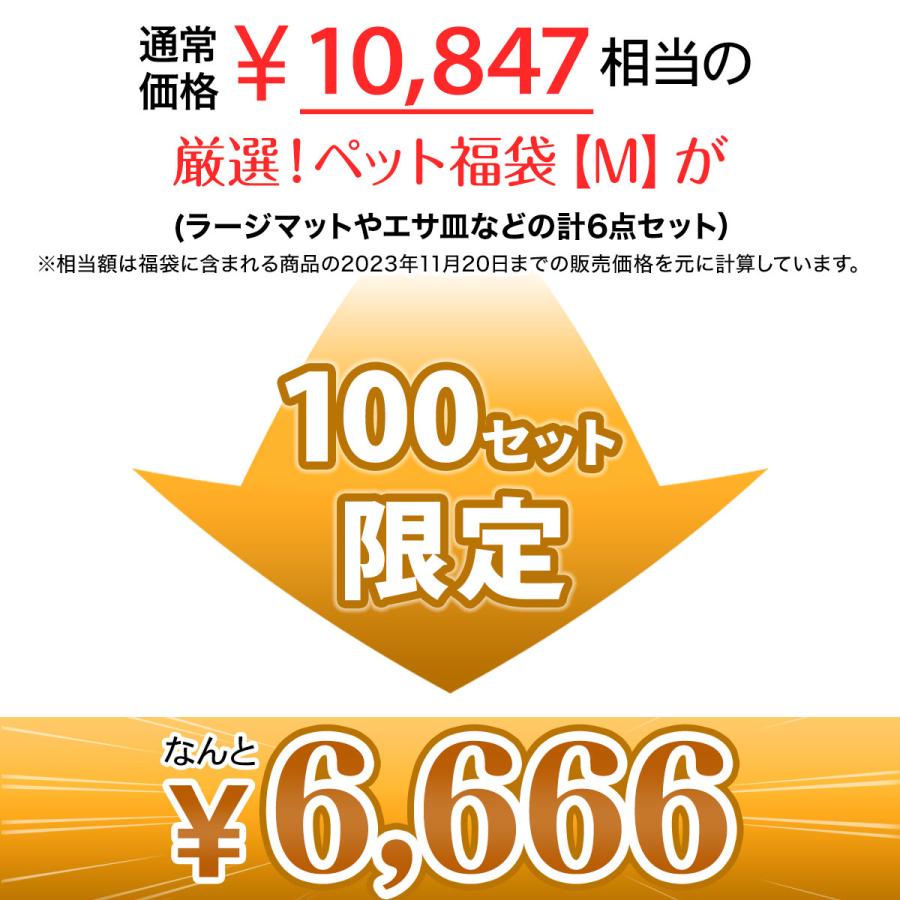 【 2025年 犬 福袋 】 ギフト プレゼント ペット 犬 猫 お楽しみ袋 おしゃれ 秋冬 春夏 ラージマット えさ皿 Mサイズ 数量限定 6点セット | Pet Style | 01
