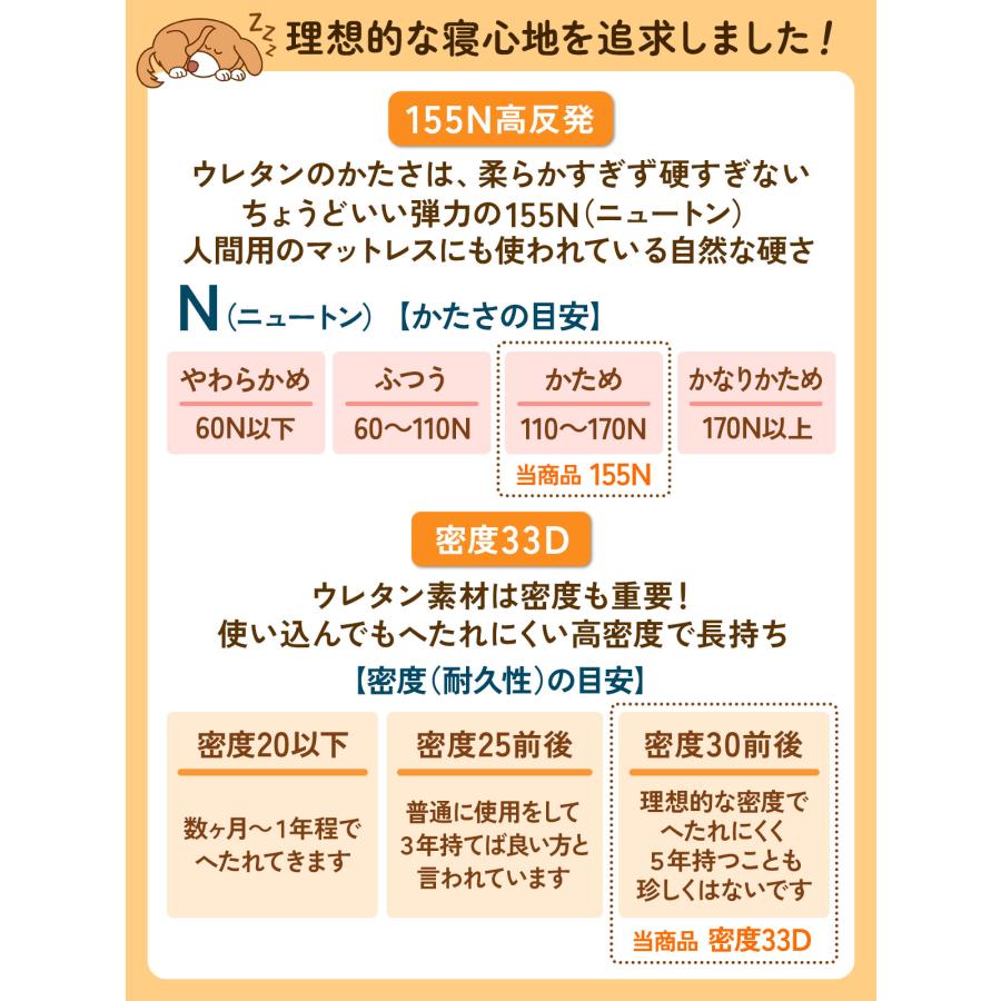【 2024年 子猫 福袋 】 ギフト プレゼント ペット 猫 おしゃれ 秋冬 春夏 ペットハウス ピラミッド型 接触冷感 ボア フランネル Sサイズ 数量限定 6点セット | Pet Style | 10
