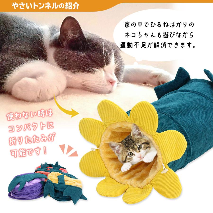 【 2024年 子猫 福袋 】 ギフト プレゼント ペット 猫 おしゃれ 秋冬 春夏 ペットハウス ピラミッド型 接触冷感 ボア フランネル Sサイズ 数量限定 6点セット | Pet Style | 11