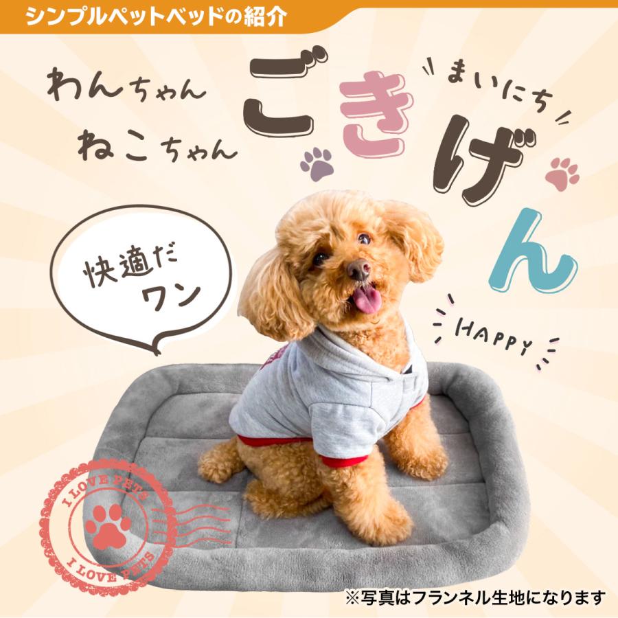 【 2025年 猫 福袋 】 福袋 ドーム型 ペットベッド ギフト プレゼント ペット 暖かい お楽しみ袋 冬 ボア フランネル 送料無料 Sサイズ 数量限定 5点セット | Pet Style | 14