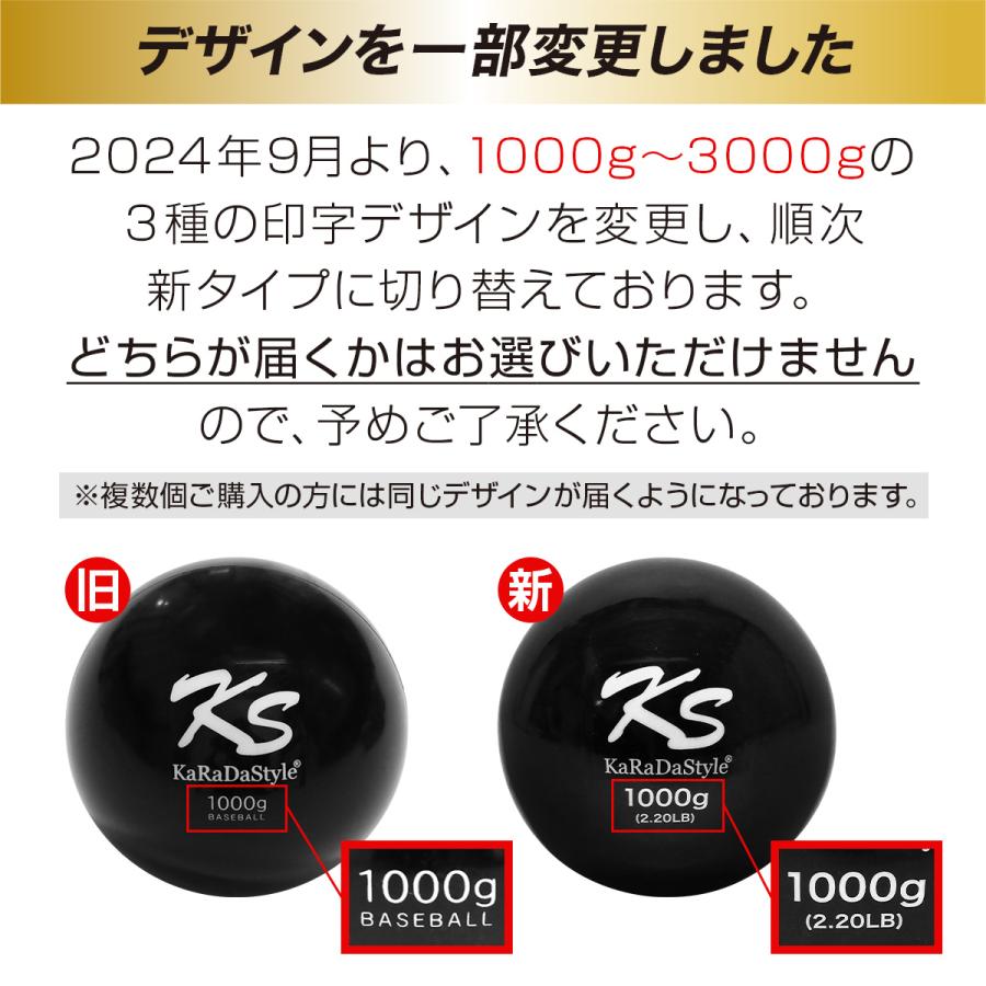 KaRaDa Style 【訳あり】 メディシンボール 2kg コンパクトタイプ
